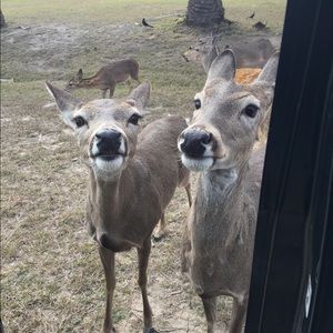 Meet your Posher, Ruth